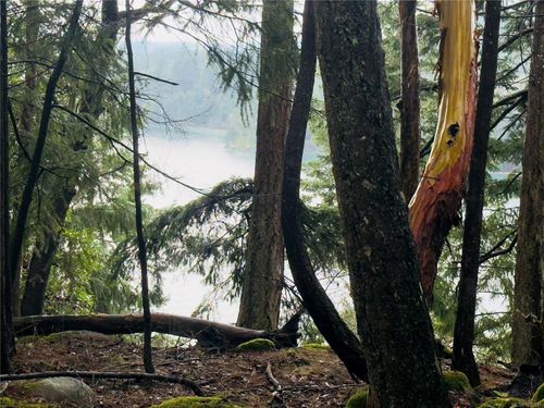 127 Halibut Hill Rd, Mudge Island, BC, V0R1X6 | Card Image