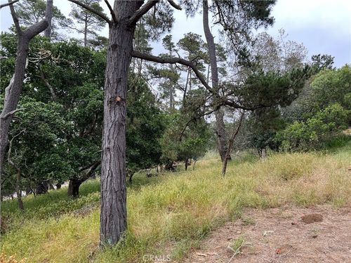 0 Norton Ln, Cambria, CA, 93428 | Card Image