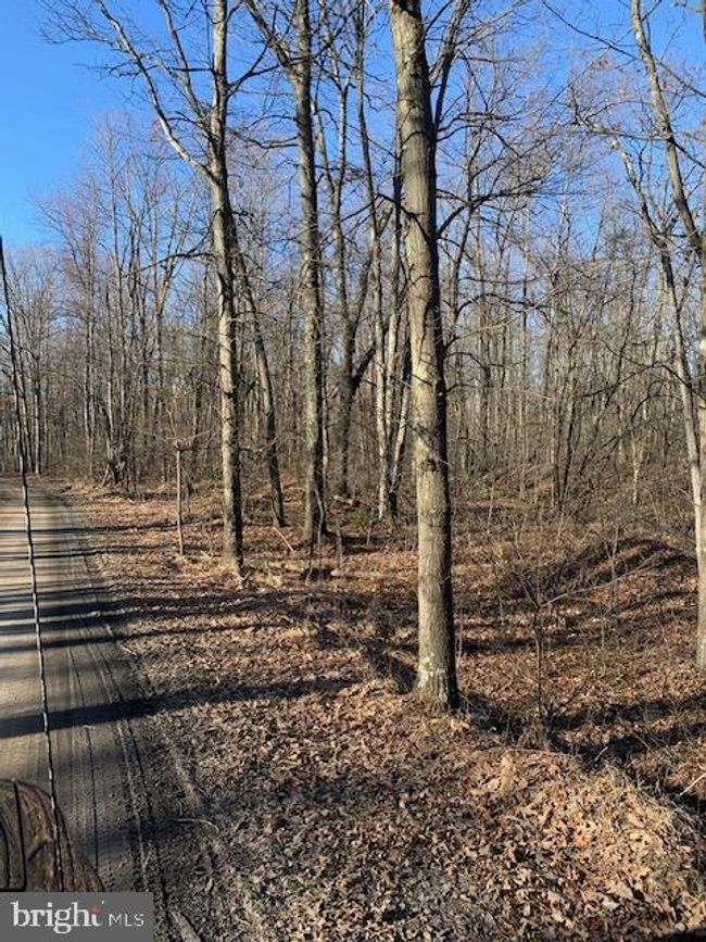 0 Little Wolf Rd, Home with 0 bedrooms, 0 bathrooms and null parking in CLARENCE PA | Image 5