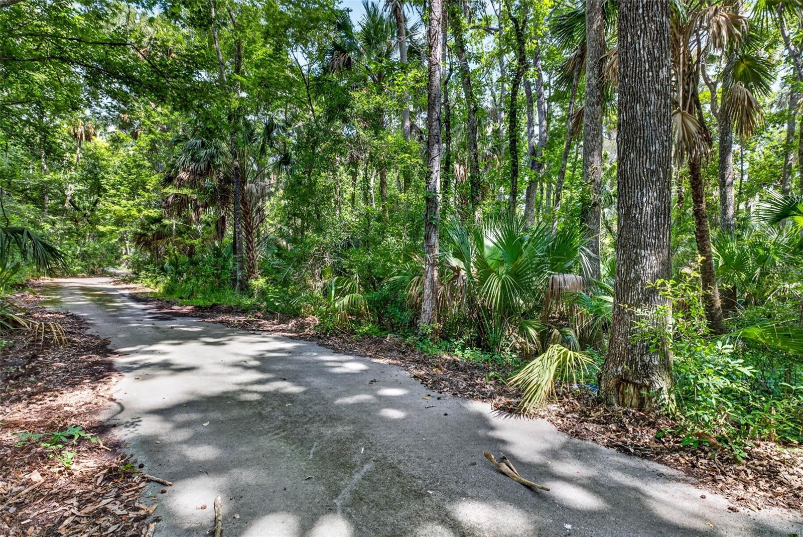 Land in HOMOSASSA 2
