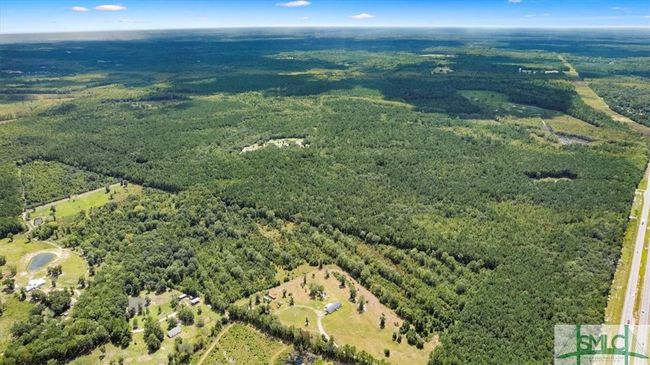 262 Leroy Coffer Highway, Home with 0 bedrooms, 0 bathrooms and null parking in Fleming GA | Image 11