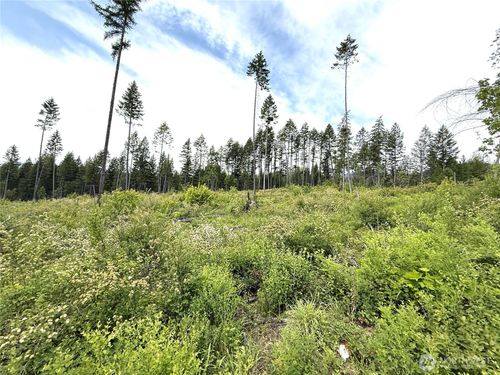 0 Lot 4 Rockabye Ln, Curlew, WA, 99118 | Card Image