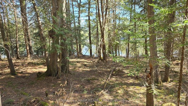 0000 Calabogie Rd, Home with 0 bedrooms, 0 bathrooms and null parking in Burnstown ON | Image 11