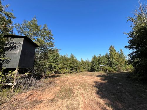 TBD Cr 1579-1, Avinger, TX, 75630 | Card Image