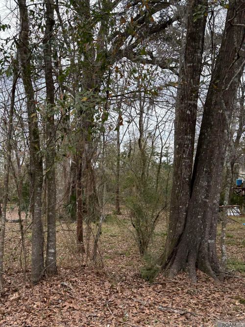 TBD Amite River Rd, Baton Rouge, LA, 70817 | Card Image