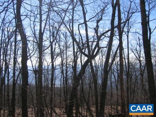 id-34-a-11-Bucks Hollow Buck Hollow Ln, AMHERST, VA, 24521 | Card Image