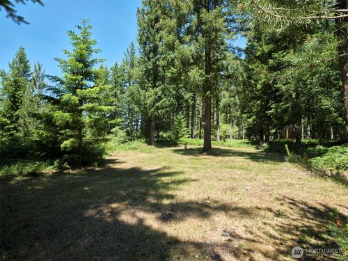 0 Loowit Lane, Cougar, WA, 98616 | Card Image