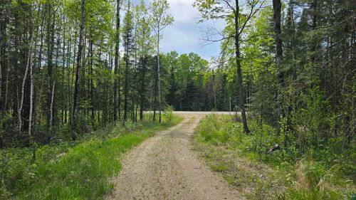 7316 Crane Lake Rd, Crane Lake, MN, 55725-8001 | Card Image