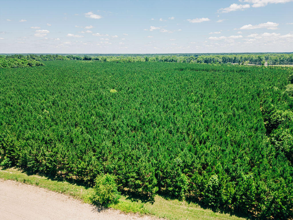 Land in Islandton 3