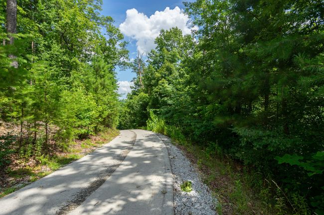 0 Valley Rim Dr, Home with 0 bedrooms, 0 bathrooms and null parking in Chickamauga GA | Image 44