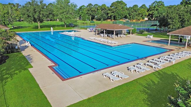 Spring Creek Forest offers water aerobics, and a competitive swim team. Go Sharks! Where Competition Meets Cannonballs!!This neighborhood doesn’t just have a pool—it has a vibe. Home to a competitive swim team, the season kicks off with early morning laps and spirited meets. | Image 31