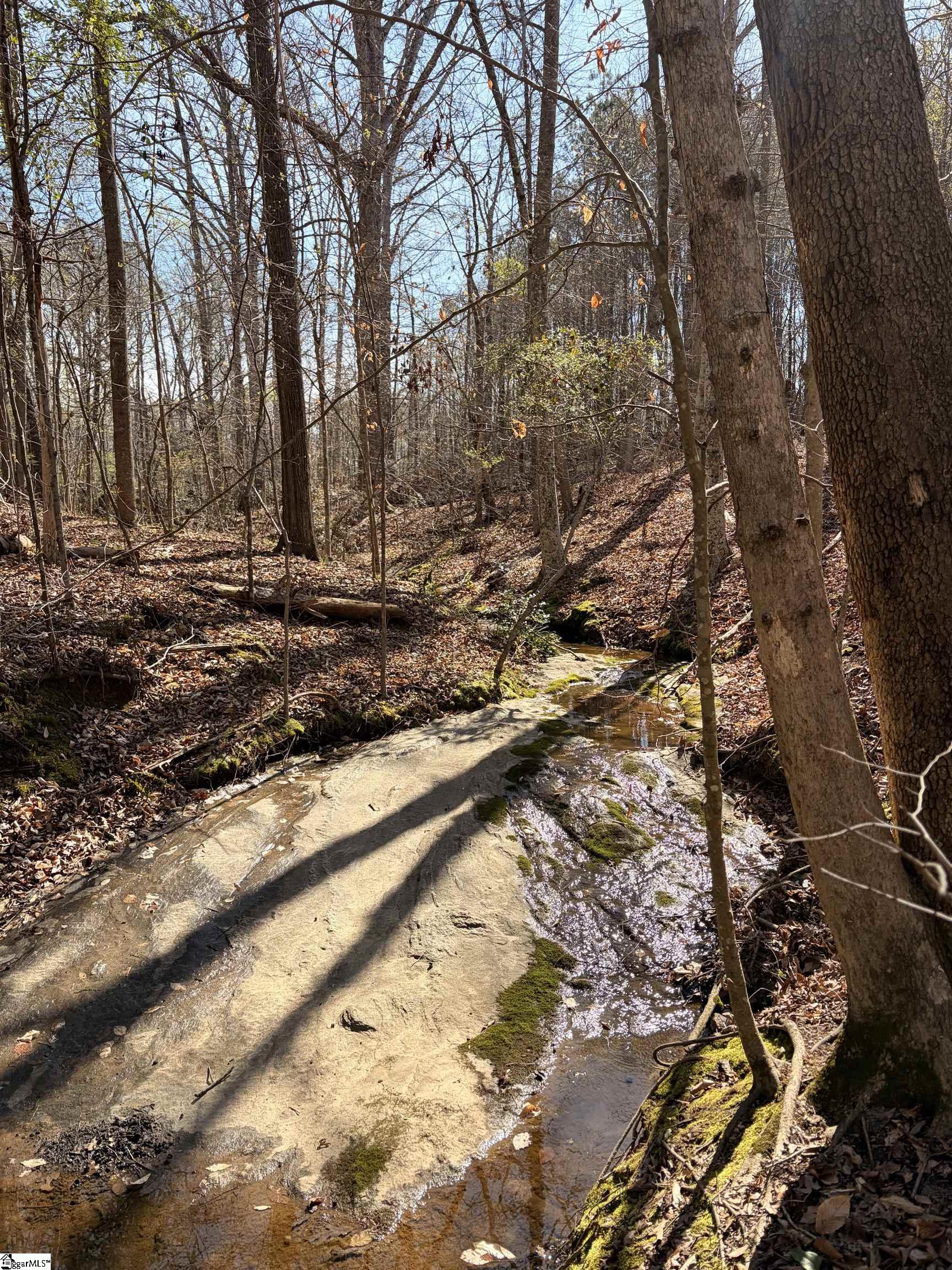 Land in Clinton 4