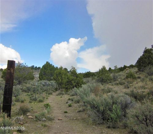 0 Brownstone 4/15 Interest, Patent 16152 M/S 63s Rob, Ely, NV, 89301 | Card Image