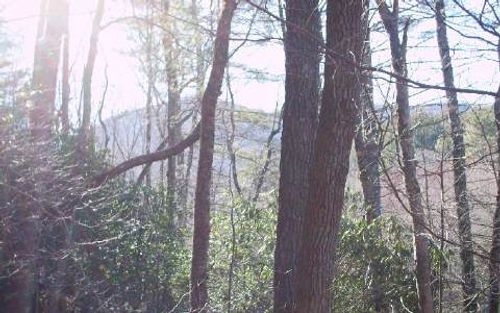 #109 Big Pine Dr, Hiawassee, GA, 30546 | Card Image
