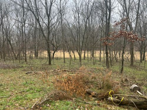 429 Drew Street, Paw Paw Village, MI, 49079 | Card Image