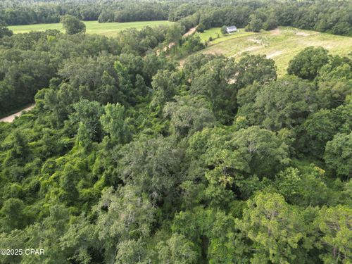 0000 N Holmes Creek Rd, Graceville, FL, 32440 | Card Image