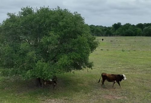 5 County Road 127 Road, Ledbetter, TX, 78946 | Card Image