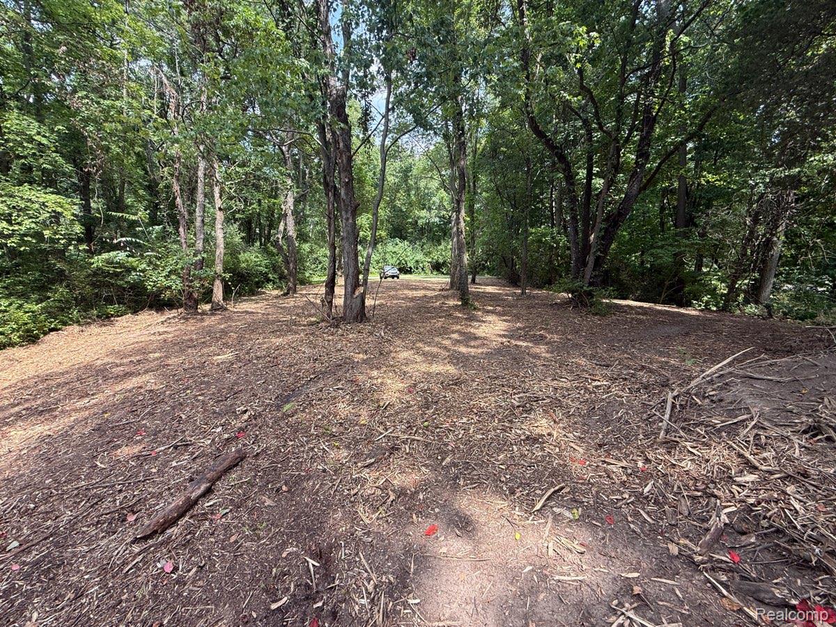 Land in Genoa Township 2