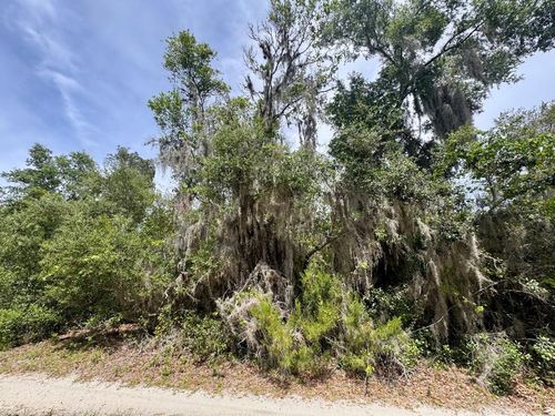 8365 Ne 306th Ct, SALT SPRINGS, FL, 32134 | Card Image