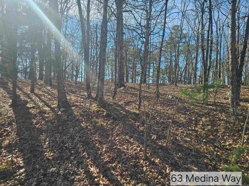 63 Medina Way, Hot Springs Village, AR, 71909-4318 | Card Image