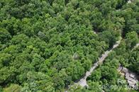 Land in Lake Lure 4