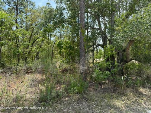00 Snow Goose Ave, BROOKSVILLE, FL, 34614 | Card Image