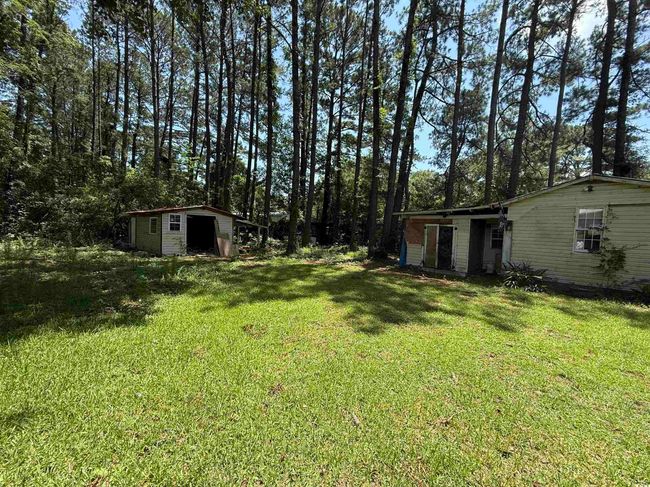 View of grassy yard featuring a storage unit | Image 14