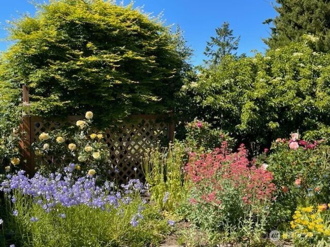 Landscaping close to house | Image 33