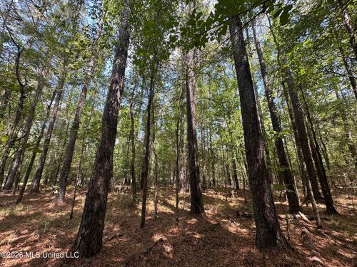7 Forest Service Road 562, Pulaski, MS, 39152 | Card Image