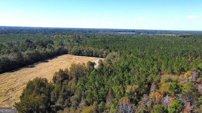 268-ACRES - 99 Old Happy Ln, Home with 0 bedrooms, 0 bathrooms and null parking in Brooklet GA | Image 9