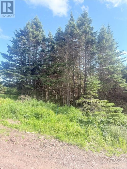 6A Big Pond Access Road, Burin, NL, A0E1E0 | Card Image