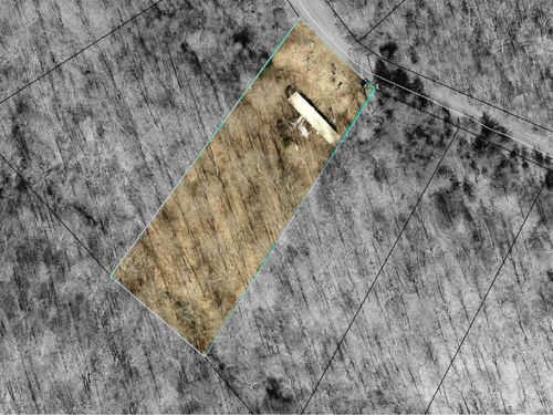 294 Branchview Ln, Russell Springs, KY, 42642-5000 | Card Image