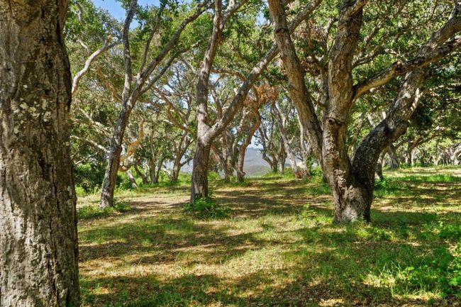 4 Holding Field Run, Home with 0 bedrooms, 0 bathrooms and null parking in Carmel CA | Image 10