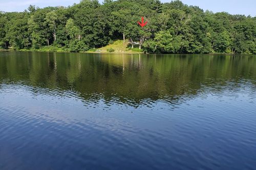 20 Litchfield Ave, Norfolk, MA, 02056-1219 | Card Image