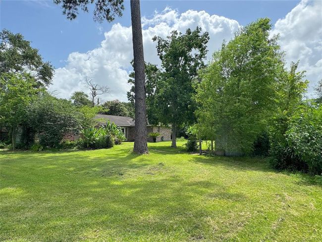 Separate lot next door is partially cleared. | Image 21