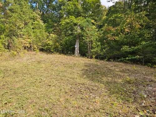 Lot 17 Saddle Ridge Dr, Speedwell, TN, 37870 | Card Image