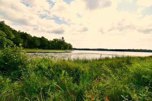 12231 Scott Lake Road, Deerwood, MN, 56444 | Card Image