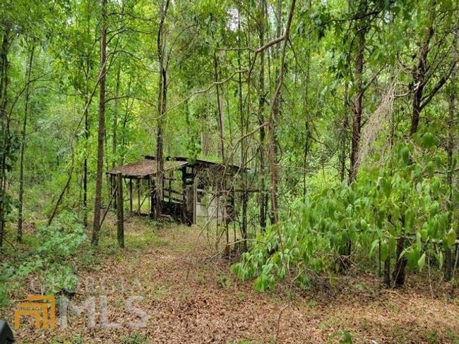 0 E Silver Shoals Rd, Home with 0 bedrooms, 0 bathrooms and null parking in Toccoa GA | Image 6