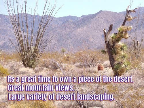 244-06-264 E Joshua Road, Yucca, AZ, 86438 | Card Image