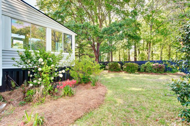Backyard | Image 31