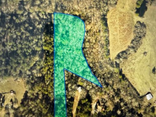 0 County Road 1728, Holly Pond, AL, 35083 | Card Image