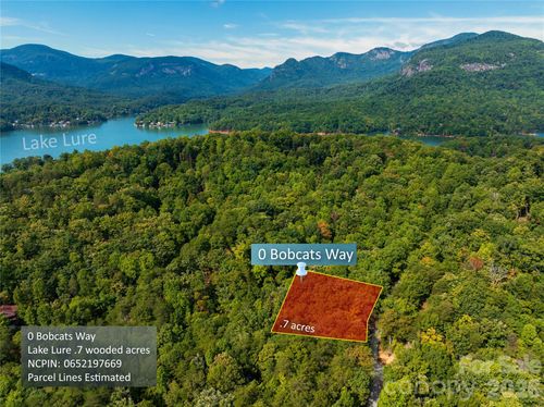 279-0 Bobcats Way, Lake Lure, NC, 28746 | Card Image