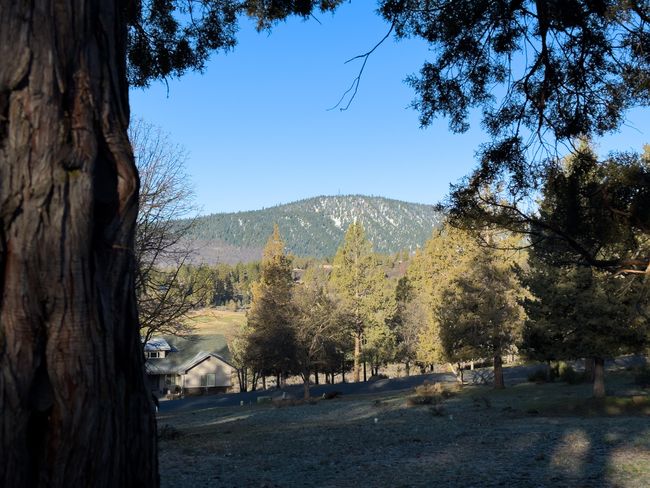 520 Mourning Dove Dr-07 | Image 11