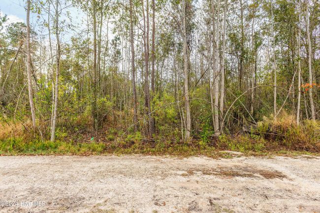 Near 169 Lizzies Drive, Home with 0 bedrooms, 0 bathrooms and null parking in Bolton NC | Image 7