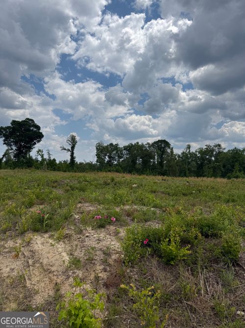 0 Jd Williams Rd, Cadwell, GA, 31009 | Card Image