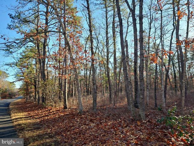 1930 Mccall Ave, House other with 3 bedrooms, 1 bathrooms and null parking in MAYS LANDING NJ | Image 7