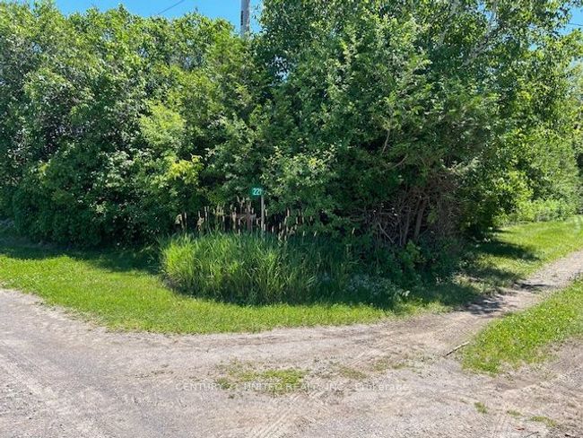221 County Rd 2, Home with 0 bedrooms, 0 bathrooms and 4 parking in Bailieboro ON | Image 7