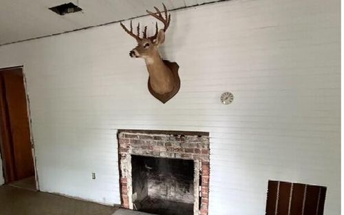 21367 152nd St, Live Oak, FL, 32060-5313 | Card Image