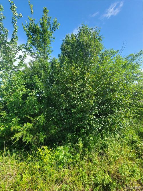 5096 Fox Creek Rd, Pacific, MO, 63069 | Card Image