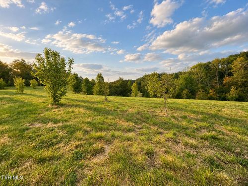 3050 Shackleford Rd, Mosheim, TN, 37818-4408 | Card Image